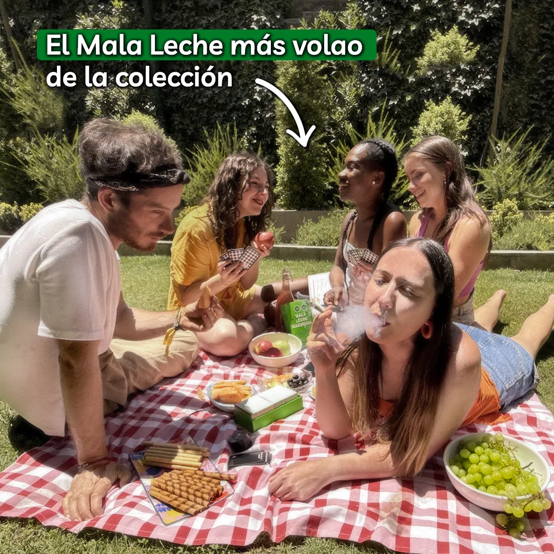 Mala Leche de Marihuana: imagen 2